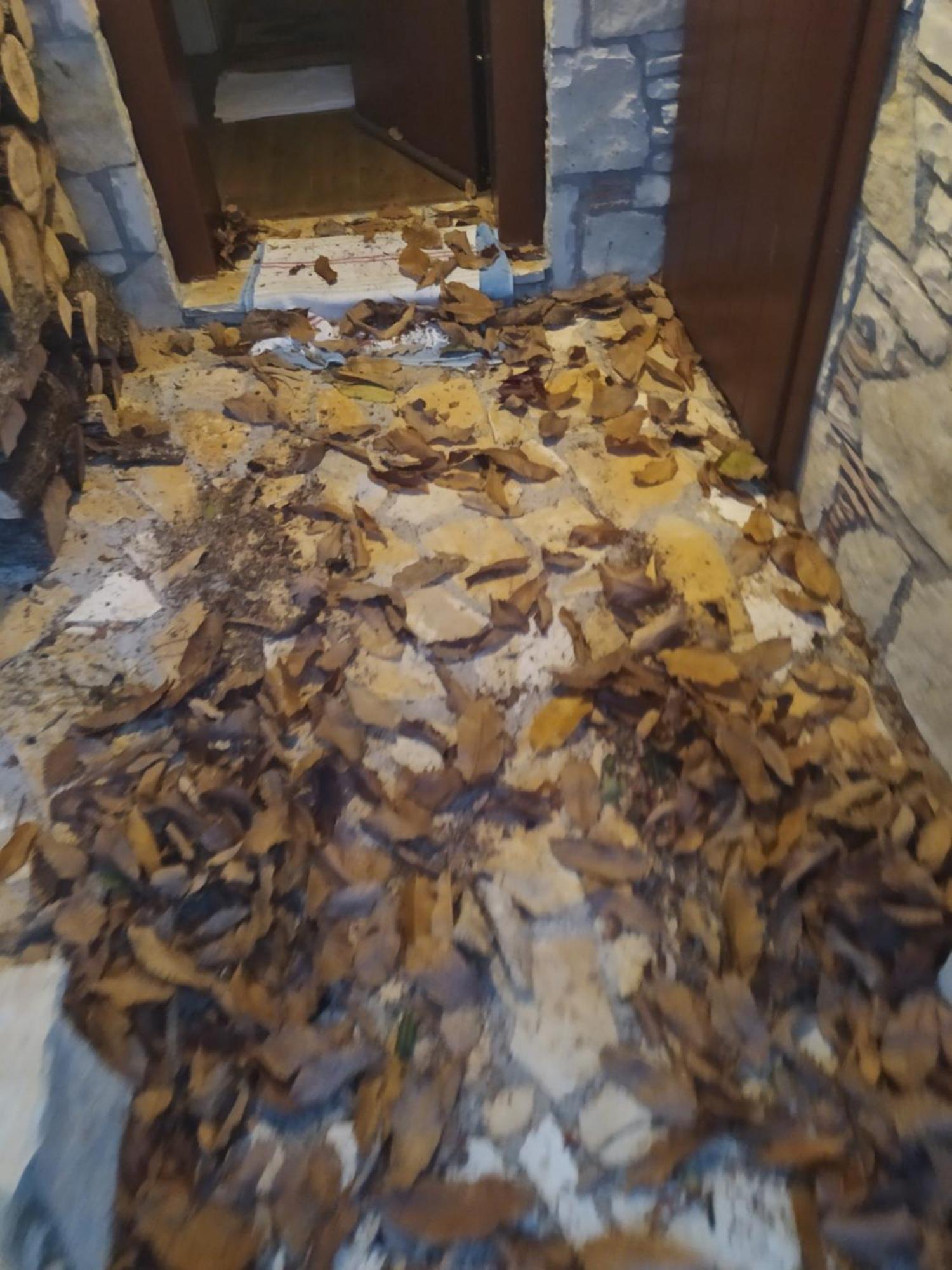 Guesthouse Petrino Pezoúla エクステリア 写真